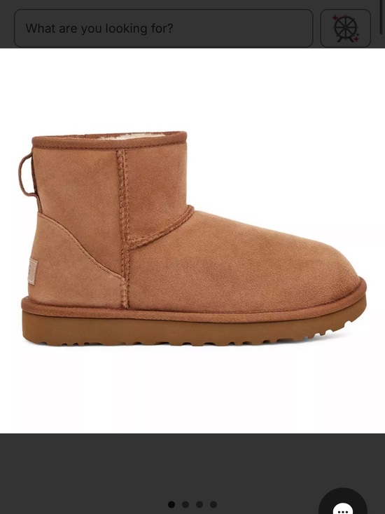 UGG Shoes - UGG Classic Mini Boot in Chestnut